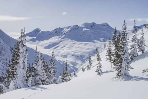 Look out during winter, Roger pass, British Columbia, Canada