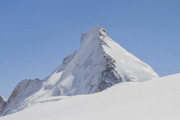 The summit of Dent d'Herens peak. Zermatt, Switzerland, Europe