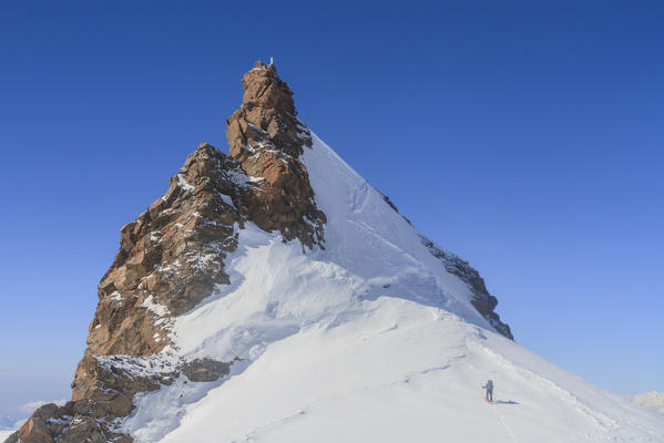Ski mountaneer to the summit of Corno Nero peak. Rosa group, Aosta valley, Italy