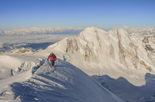 Ski mountaneer to the summit of Zumstein peak. Rosa group, Aosta valley, Italy