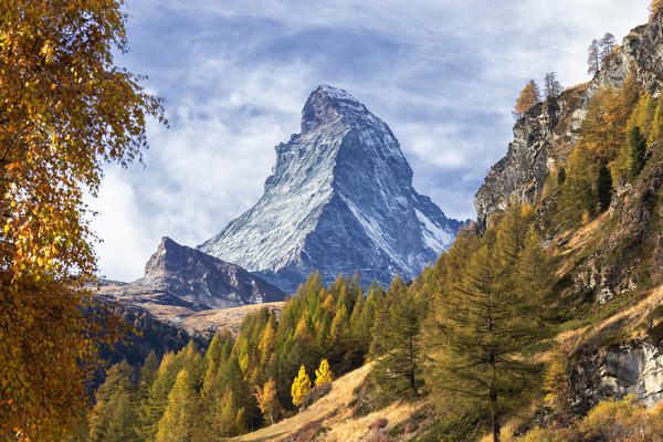Colourful trees in autumn with Matterhorn in the background. Zermatt, Mattertal, Canton of Valais, Switzerland, Europe