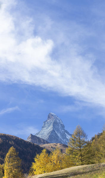 Colourful trees in autumn with Matterhorn in the background. Zermatt, Mattertal, Canton of Valais, Switzerland, Europe