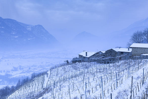 Traditional huts in the wineyards after a snowfall. Berbenno di Valtellina,  Valtellina, Lombardy, Italy, Europe.