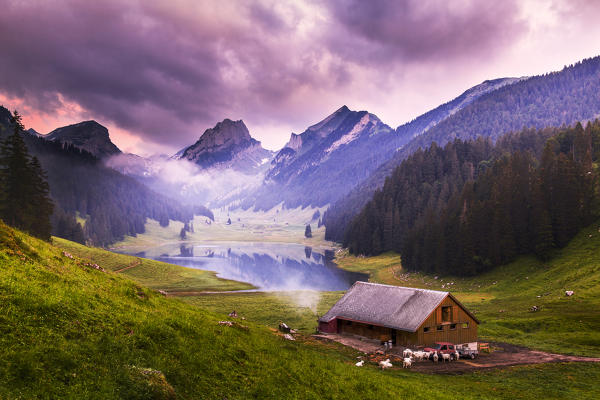 Farm with Samtisersee during pink sunrise,Canton of Appenzell, Alpstein, Switzerland, Europe