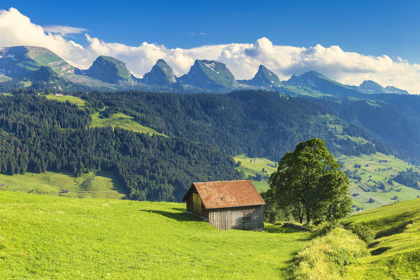 Old hut with Churfirsten mountain in the background. Alt Sankt Johann,Toggemburg,Canton of San Gallo, Switzerland, Europe