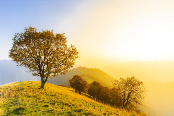Autumn colors at sunset from Poncione di Cabbio peak, Valle Intelvi, Lombardy, Italy, Europe.
