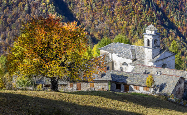 San Salvatore church in autumn, Parco delle Orobie Valtellinesi, Valtellina, Lombardy,Italy, Europe