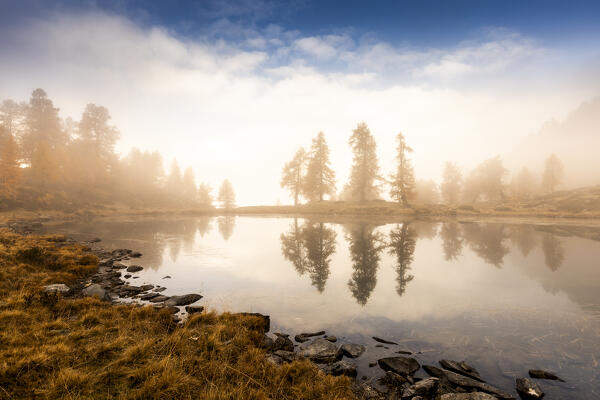 Autumn colors at Zocche lake, Parco delle Orobie Valtellinesi, Valtellina, Lombardy, ITaly, Europe.