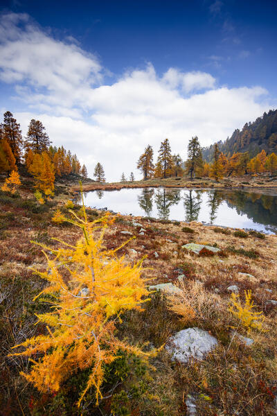 Autumn colors at Zocche lake, Parco delle Orobie Valtellinesi, Valtellina, Lombardy, ITaly, Europe.