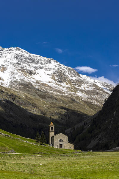 Church of San Bernardo in the passture of Stelvio National Park, Val di Rezzalo, Valtellina, Lombardy, Italy, Europe.