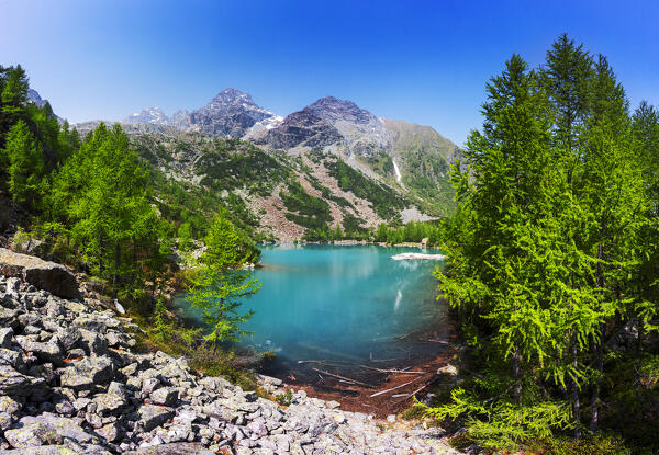 Emerald color of the water at Lagazzuolo lake, Valmalenco, Valtellina, Lombardy, Italy, Europe.