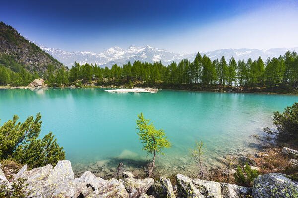 Emerald color of the water at Lagazzuolo lake, Valmalenco, Valtellina, Lombardy, Italy, Europe.