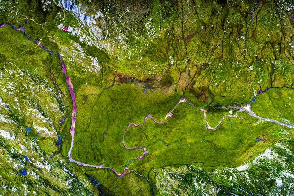 Aerial view of colorful river, Valmalenco, Valtellina, Lombardy, Italy, Europe.