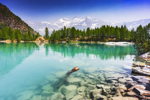 Emerald color of the water at Lagazzuolo lake, Valmalenco, Valtellina, Lombardy, Italy, Europe.
