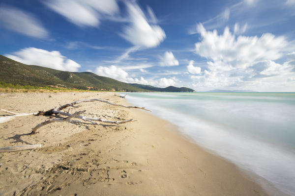 The wind blows on the beach of Marina di Alberese. Marina di Alberese beach, Alberese, Maremma park(Parco della Maremma), Grosseto, Grosseto province, Tuscany, Italy, Europe