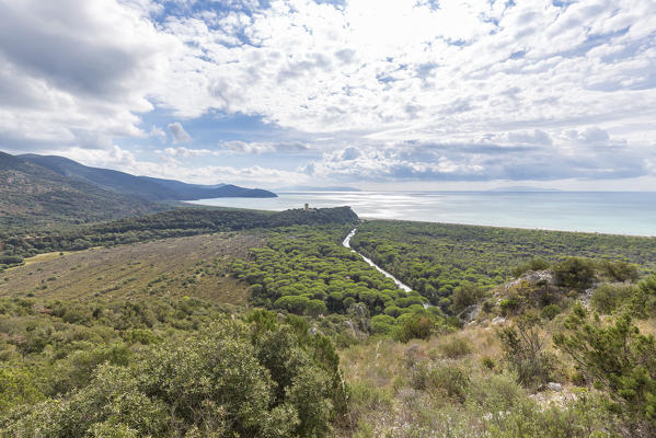 Panoramic view on Maremma Park. Tower of Castelmarino, Alberese, Maremma park(Parco della Maremma), Grosseto, Grosseto province, Tuscany, Italy, Europe