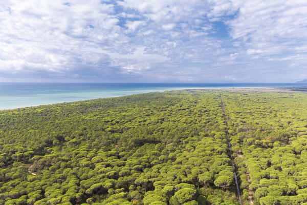 Panoramic view on Maremma Park. Castelmarino Tower(Torre di Castelmarino), Alberese, Maremma park(Parco della Maremma), Grosseto, Grosseto province, Tuscany, Italy, Europe