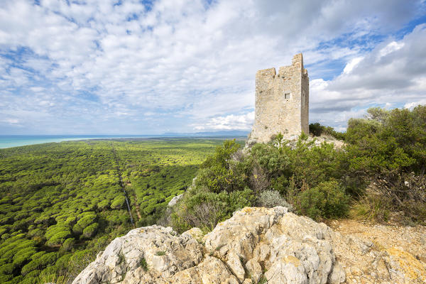 Panoramic view on Maremma Park from Castelmarino Tower. Castelmarino Tower(Torre di Castelmarino), Alberese, Maremma park(Parco della Maremma), Grosseto, Grosseto province, Tuscany, Italy, Europe