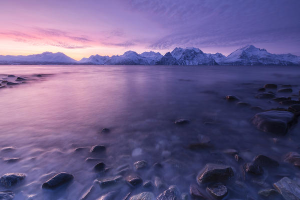 The colors of the sunset reflected in the fjord. Nordmannvik, Kafjord, Lyngen Alps, Troms, Norway, Lapland, Europe.