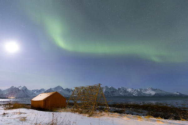 The Northern Lights paints the sky above the Nature Reserve Spaknesora. Spaknesora naturreservat, Djupvik, Lyngenfjord, Lyngen Alps, Troms, Norway, Lapland, Europe.