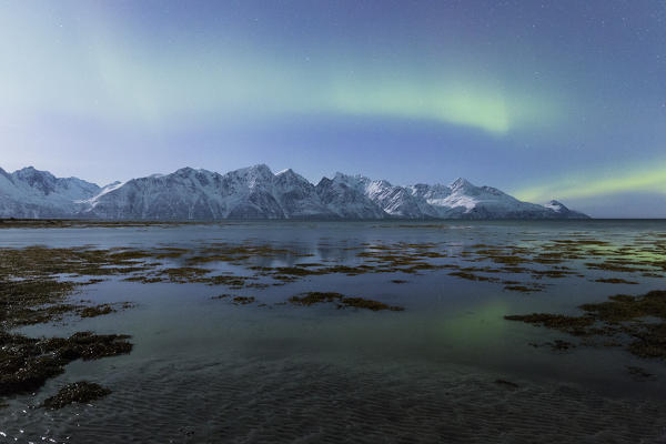 Northern lights is reflected on the icy shore. Spaknesora naturreservat, Djupvik, Lyngenfjord, Lyngen Alps, Troms, Norway, Lapland, Europe.