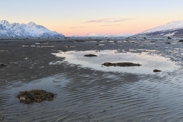 The colors of sunset illuminate the shoreline at low tide. Spaknesora naturreservat, Djupvik, Lyngenfjord, Lyngen Alps, Troms, Norway, Lapland, Europe.