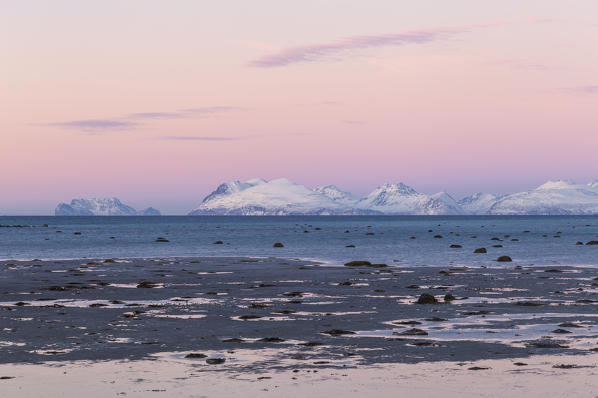 The colors of sunset illuminate the shoreline at low tide. Spaknesora naturreservat, Djupvik, Lyngenfjord, Lyngen Alps, Troms, Norway, Lapland, Europe.