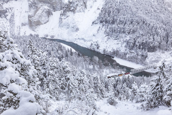 The Red Train passes in the gorge despite heavy snow. Rhein Gorge(Ruinaulta), Flims, Imboden, Graubunden, Switzerland, Europe