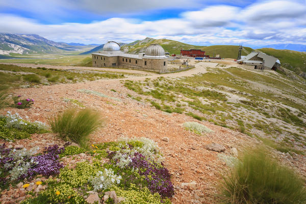 The strong wind shakes lean vegetation of Campo Imperatore, Abruzzo, Italy.