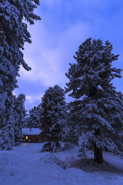 Lonely house in the snowy forest, Erbe Pass, Funes Valley, South Tyrol, Dolomites, Italy