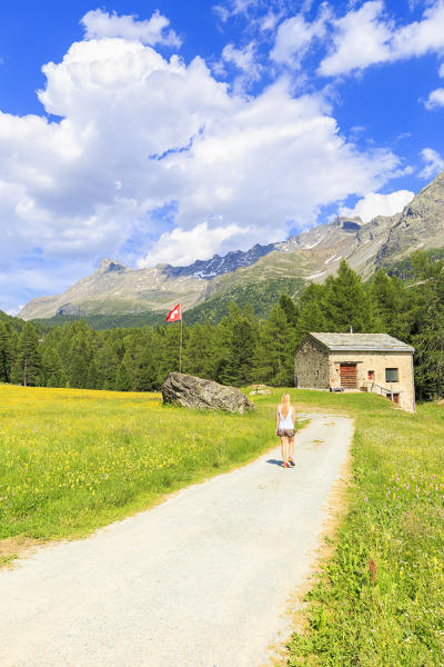 Girl walks on a path near a hut with Switzerland flag in Val di Campo, Val Poschiavo, Graübunden, Switzerland.