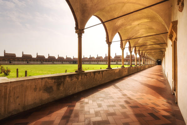 Cloister inside the Monastery of Certosa di Pavia. Certosa di Pavia, Pavia province, Lombardy, Italy, Europe.