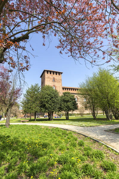 Flowering in the park of Castello Visconteo(Visconti Castle).  Pavia, Pavia province, Lombardy, Italy, Europe.