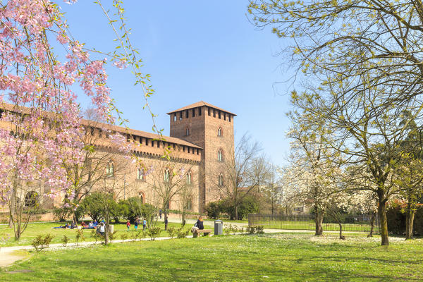 Flowering in the park of Castello Visconteo(Visconti Castle).  Pavia, Pavia province, Lombardy, Italy, Europe.