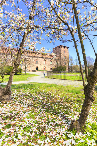 Flowering in the park of Castello Visconteo(Visconti Castle).  Pavia, Pavia province, Lombardy, Italy, Europe.
