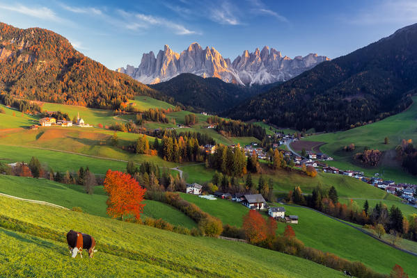 Sunset at Santa Magdalena, Funes, Bolzano Province, Trentino Alto Adige, Italy