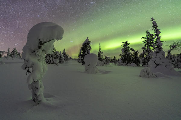 Northern lights at Pallas-Yllästunturi national park, Muonio, Lapland, Finland, Europe
