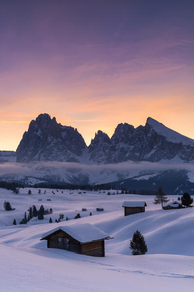 Sunrise on the Alpe di Siusi (Seiser Alm) with the peaks of Sassolungo and Sassopiatto, Dolomiti, South Tyrol, Bolzano Province, Italy