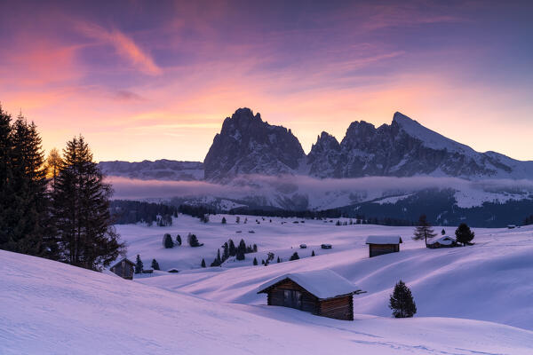 Sunrise on the Alpe di Siusi (Seiser Alm) with the peaks of Sassolungo and Sassopiatto, Dolomiti, South Tyrol, Bolzano Province, Italy