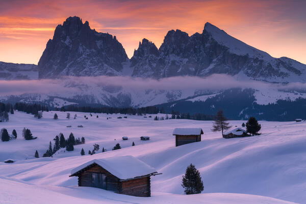 Sunrise on the Alpe di Siusi (Seiser Alm) with the peaks of Sassolungo and Sassopiatto, Dolomiti, South Tyrol, Bolzano Province, Italy