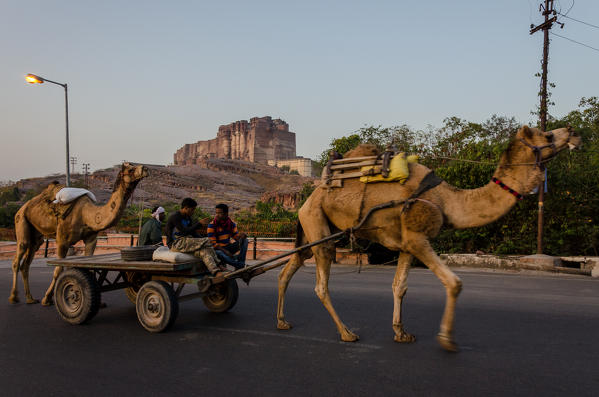 Jodhpur, Rajasthan, India. Morning view of the Mehrangarh Fort while a camel kart drives around it.
