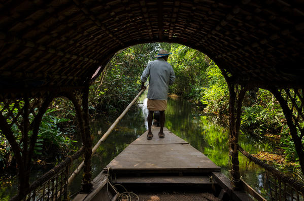 A boat cruises in the backwater of Kerala, India