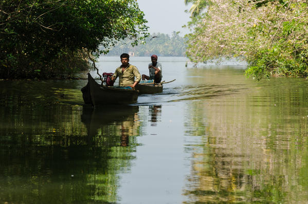 A boat cruises in the backwater of Kerala, India