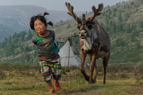 A Tsaatan girl pulls her family's reinddeer, Tsaatan Camp, Hovsgol Province, Northern Mongolia.