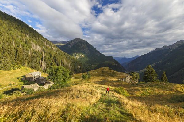 Hiker walks on the path over Campodolcino village, Spluga valley, Sondrio province, Lombardy, Italy, Europe (MR)