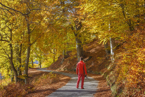 A photographer prepares to shoot and looks the road in the autumn time. Ponna Superiore, Intelvi valley (val d'Intelvi), Como province, Lombardy, Italy, Europe (MR)