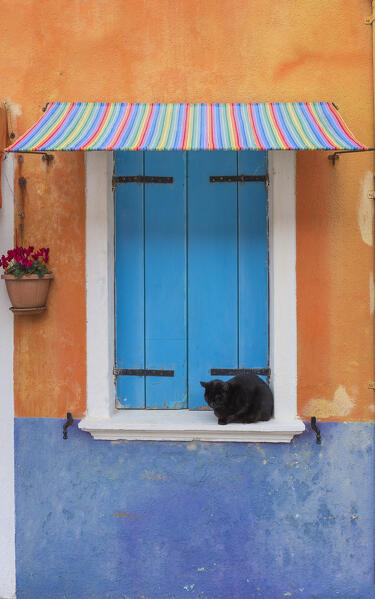 A detail of a window of a colorful house, Burano island, Venice, Veneto, Italy, Europe