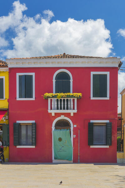 Colorful house of Burano island, Venice, Veneto, Italy, Europe