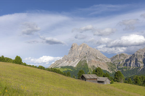 Sass De Putia (Peitlerkofel), Passo Delle Erbe (Wurzjoch), Dolomites, Bolzano, South Tyrol, Italy