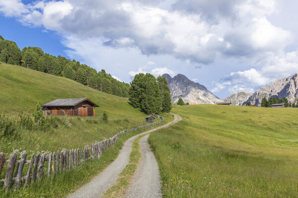 Typical chalet near the Passo delle Erbe road, in the background the Sass de Putia (Peitlerkofel), Dolomites